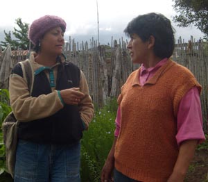 Prácticas Orgánicas