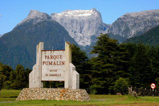 Parque Pumalín