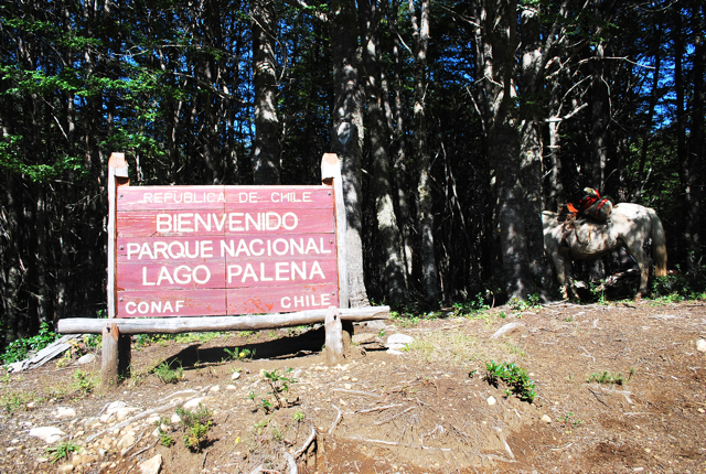 Reserva Nacional Lago Palena