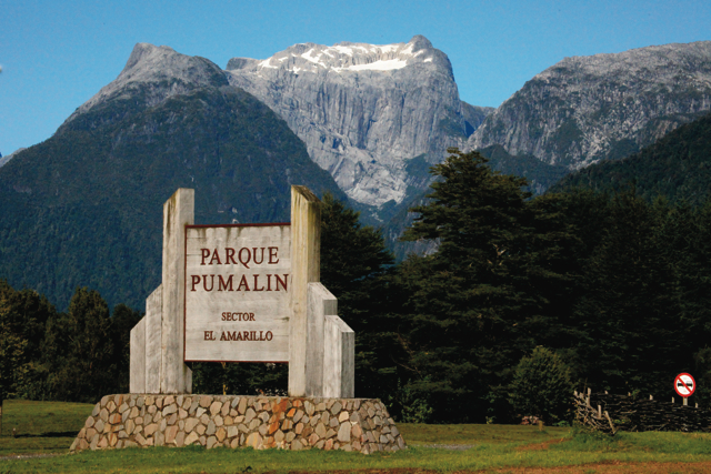 Parque Pumalín