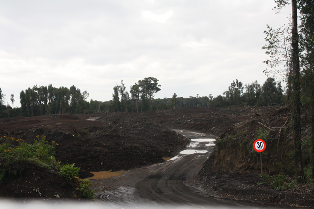 Chaitén - Camino aeródromo